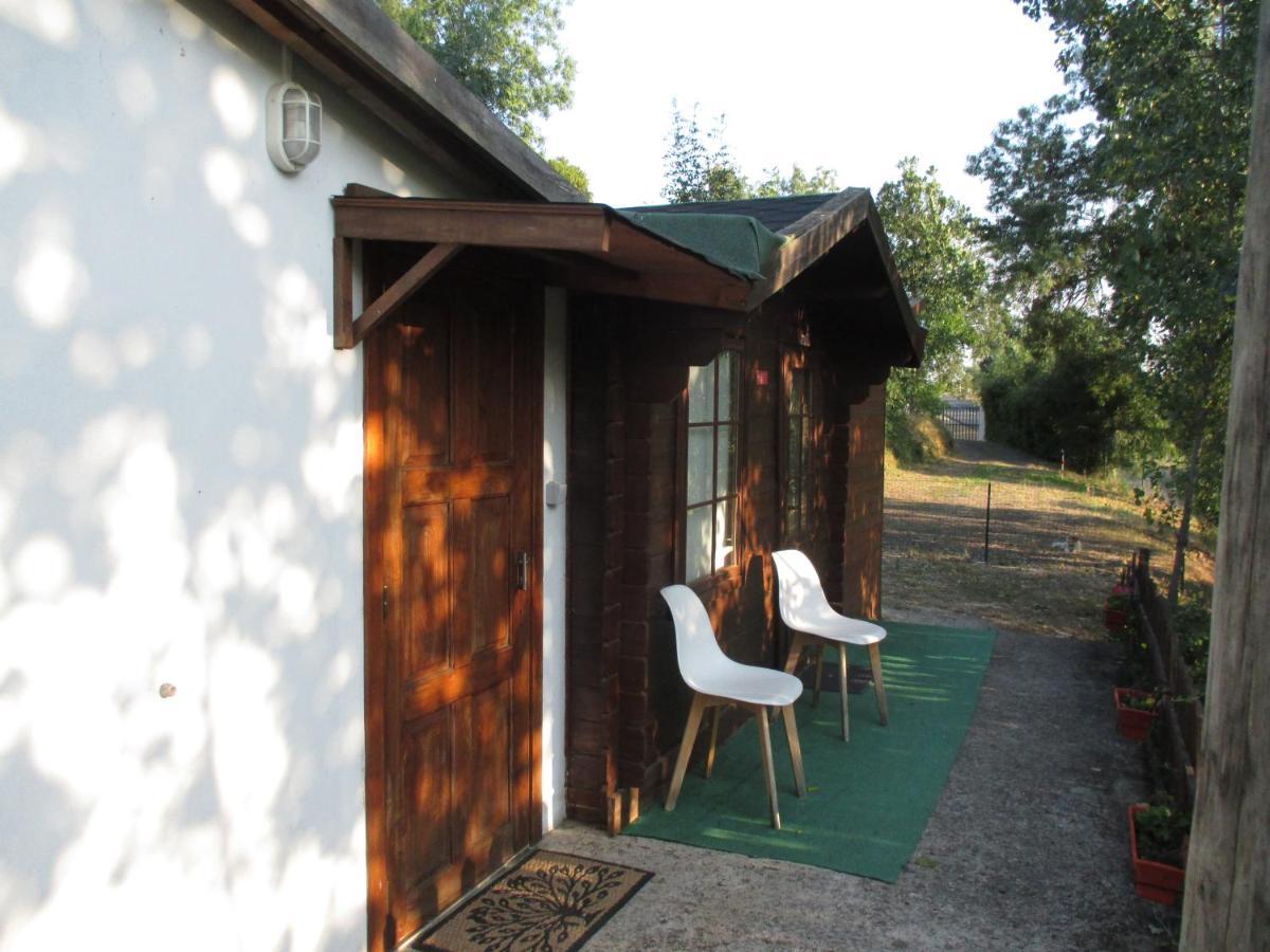Bungalow "A Choupana" - Quinta Da Carvoica - Vale Pradinhos Vale de Pradinhos Exterior foto